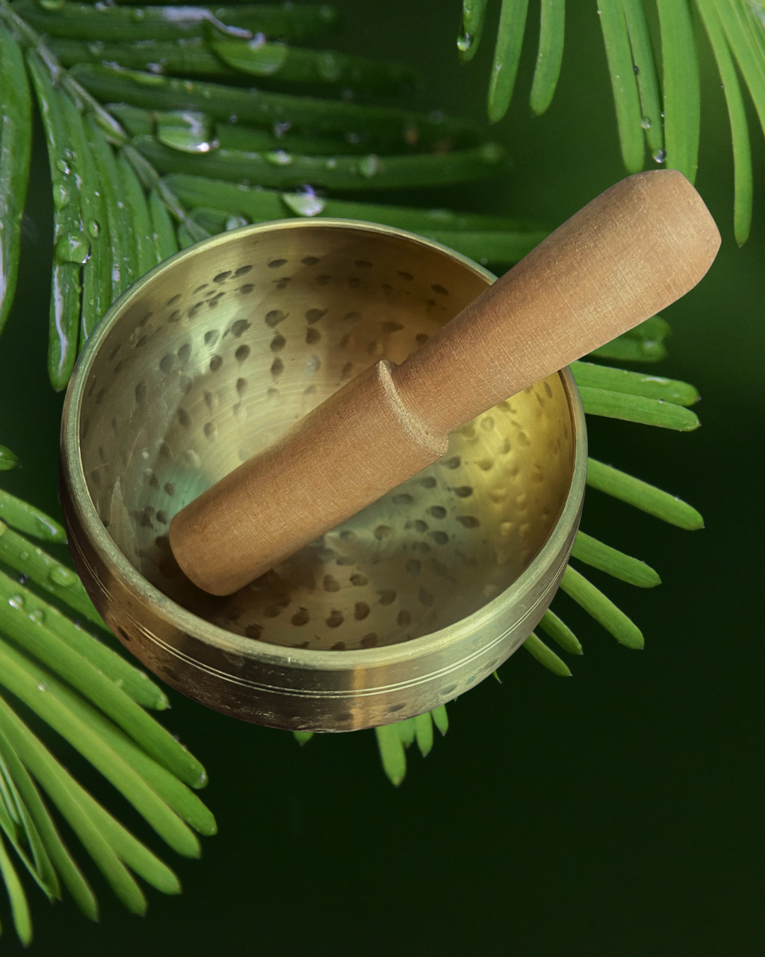 Singing Bowl - 5-metal Panchaloha Hand-hammered Bowl (4 inch) with Wooden Mallet