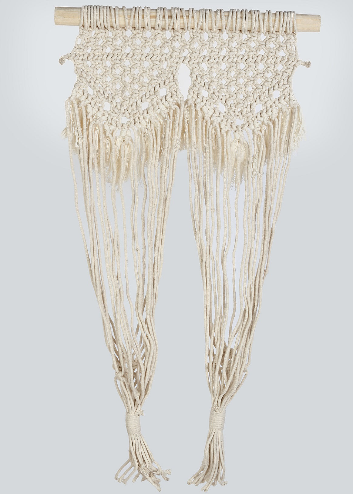 Macrame Wall Hanging Double Plant Holder