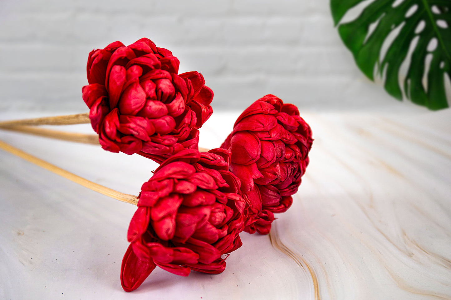 Shola Pyazi Flowers Red - Bunch of 5