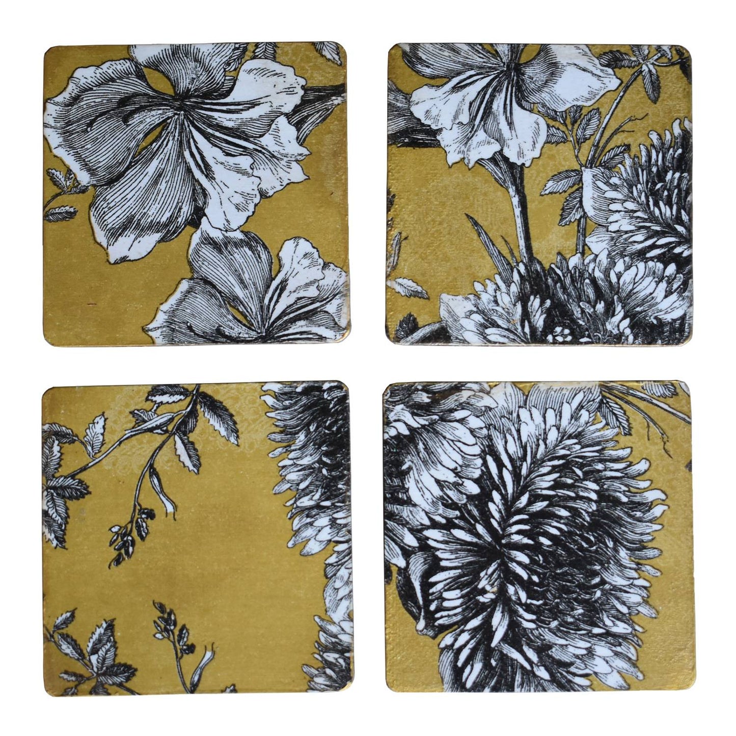 2 Golden Chrysanthemum 4