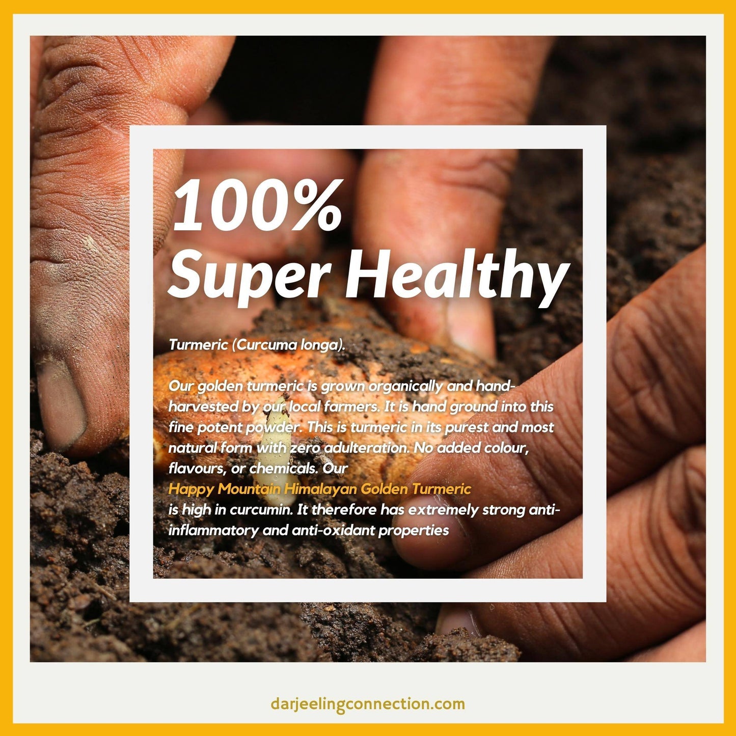 Himalayan Golden Turmeric - High in Curcumin - Happy Mountain