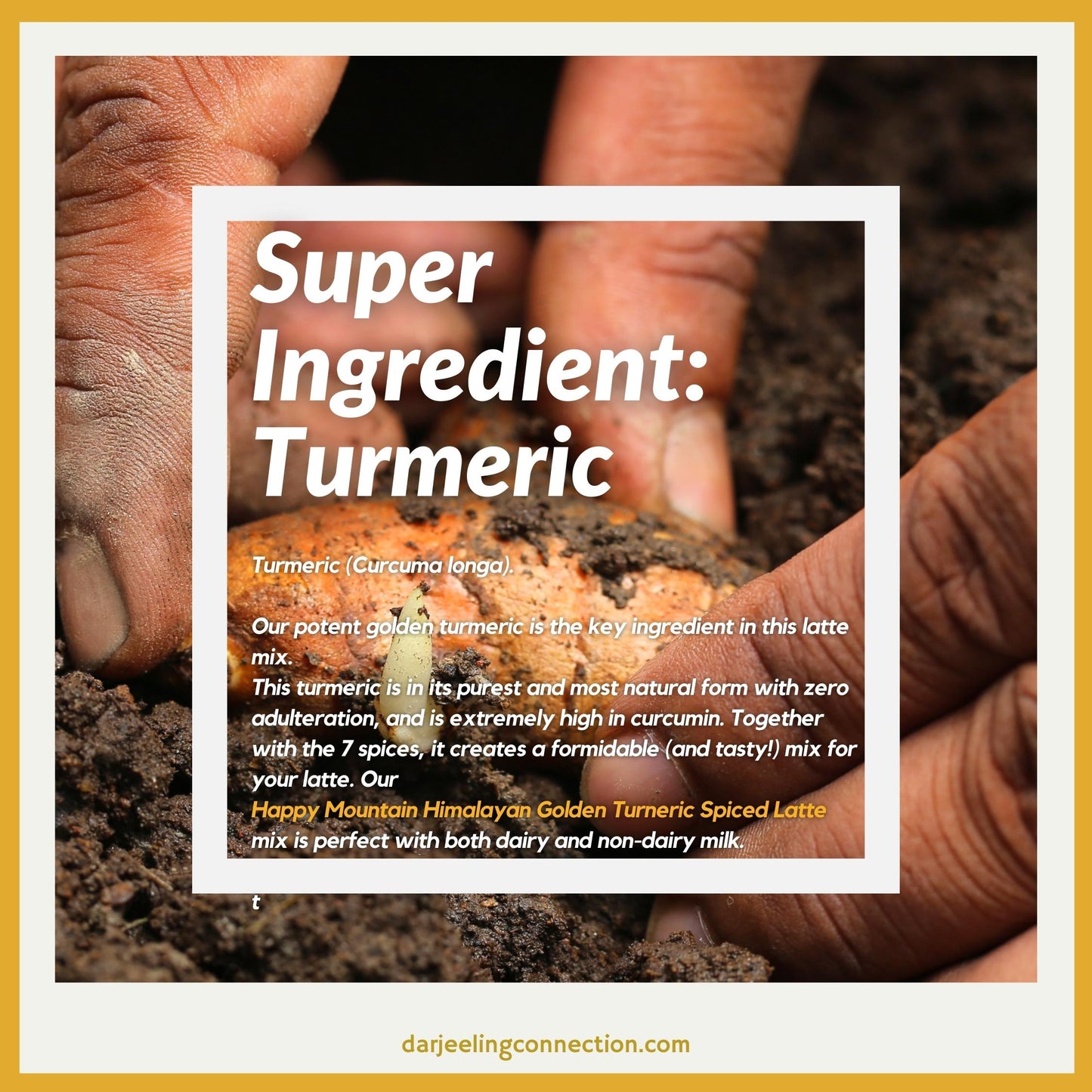 Himalayan Golden Turmeric Spiced Latte - Happy Mountain