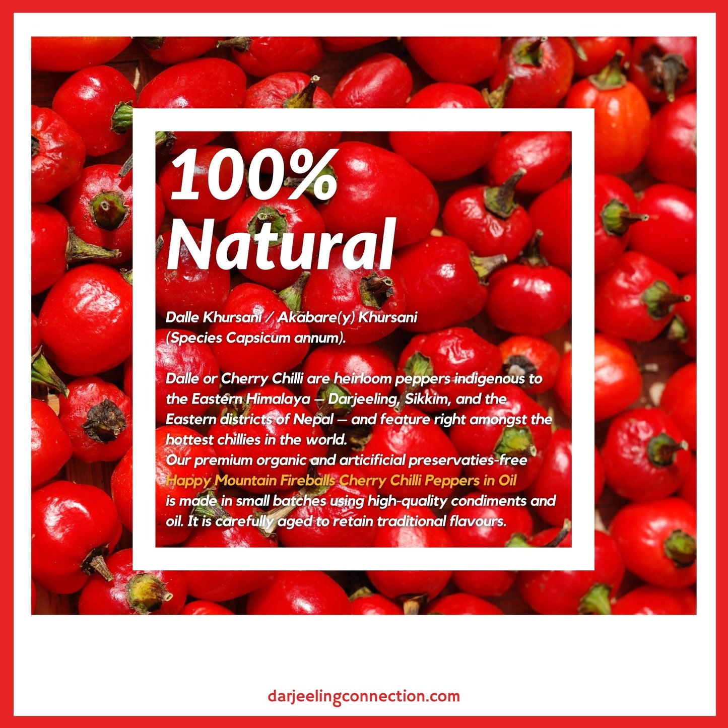 100% Natural Dalle Used to Make Fireballs - Cherry Chilli Peppers (Dalle) in Oil - Happy Mountain