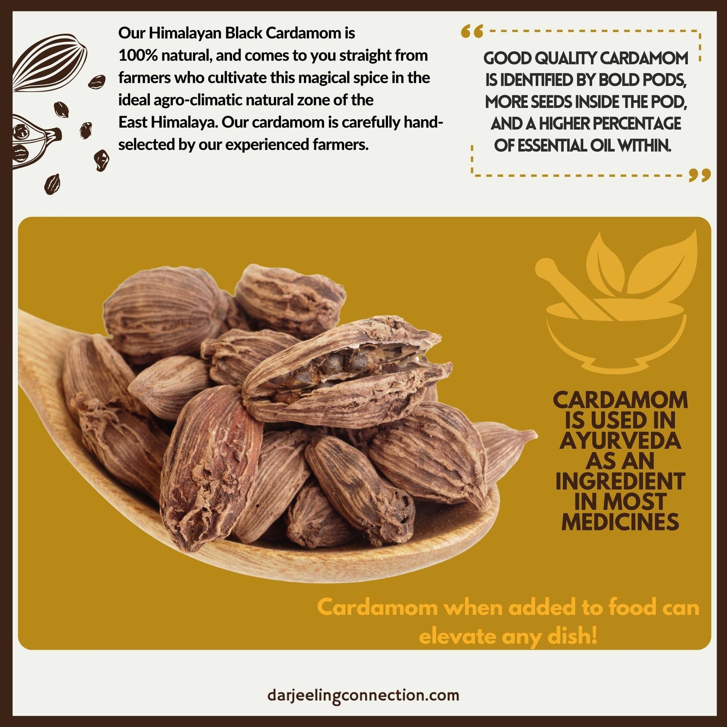 Himalayan Black Cardamom - Happy Mountain