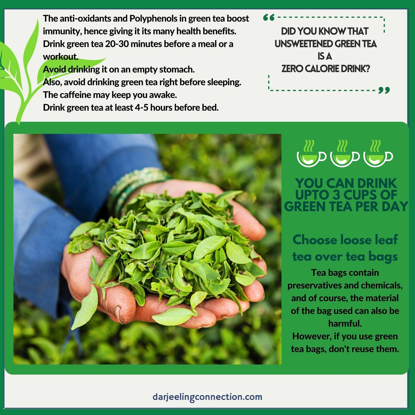Organic Full-Leaf Darjeeling Green Tea for Immunity - Darjeeling Connection