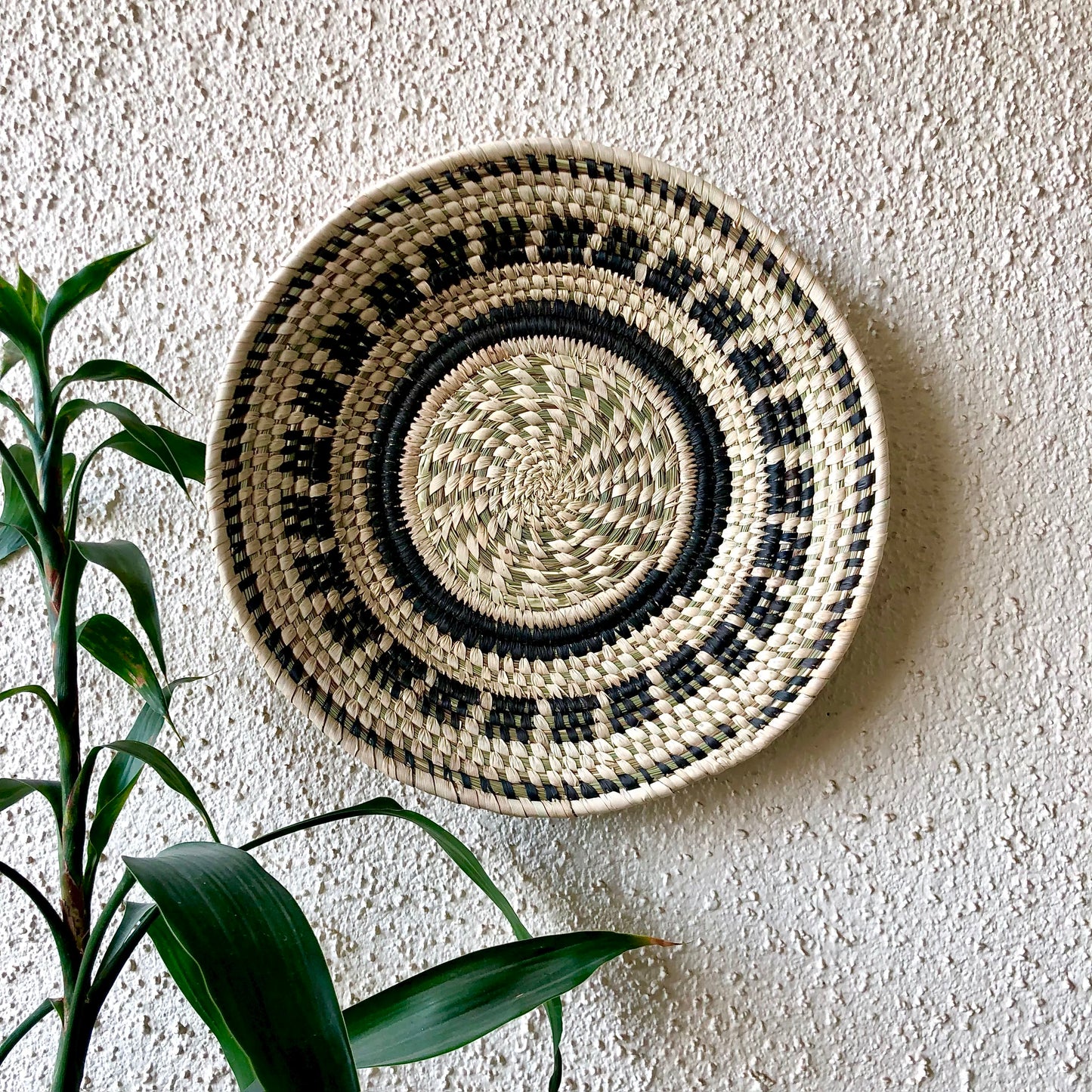 Grass Wall Plate