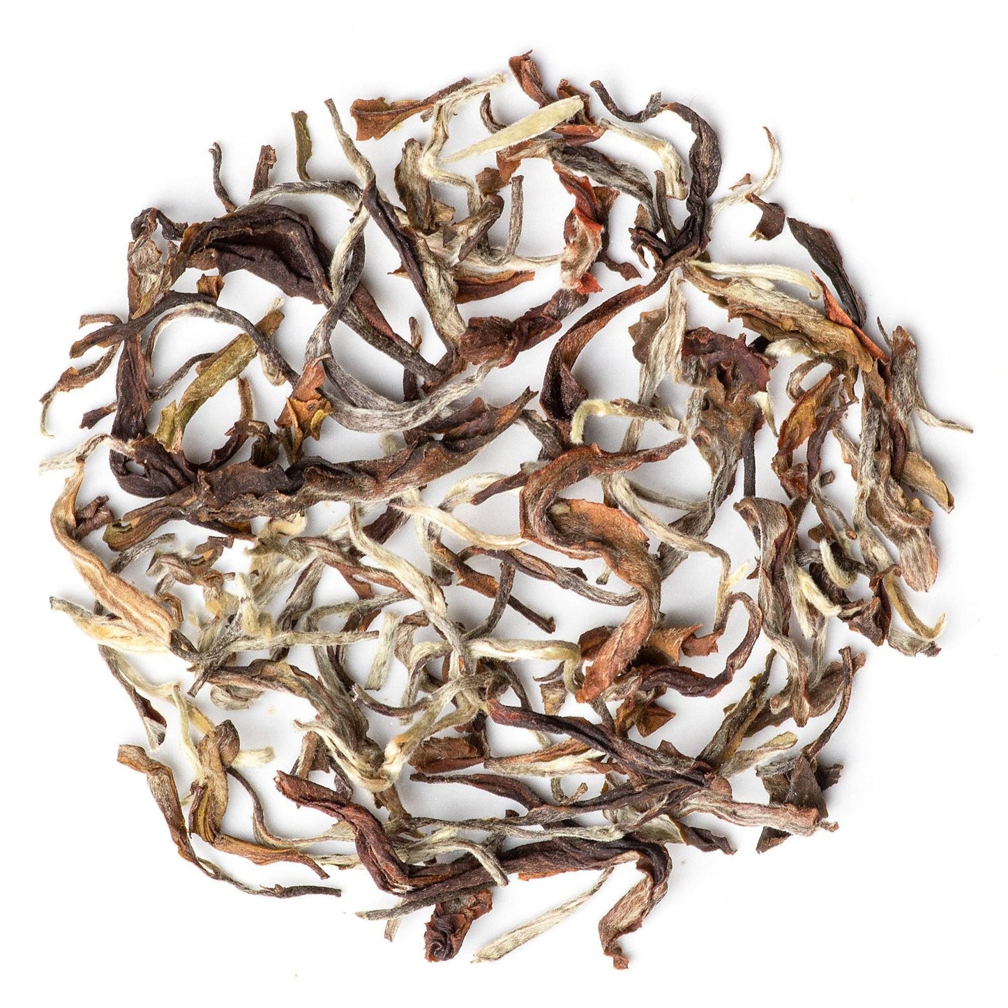 Mayukh Tea - Margaret's Hope Moonlight Second Flush Tea