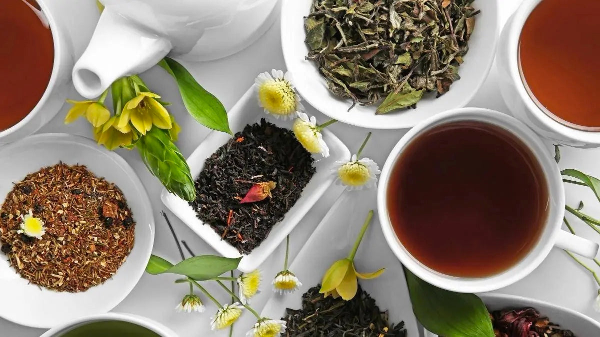 All that You Need to Know About the Different Types of Tea: The Comple ...