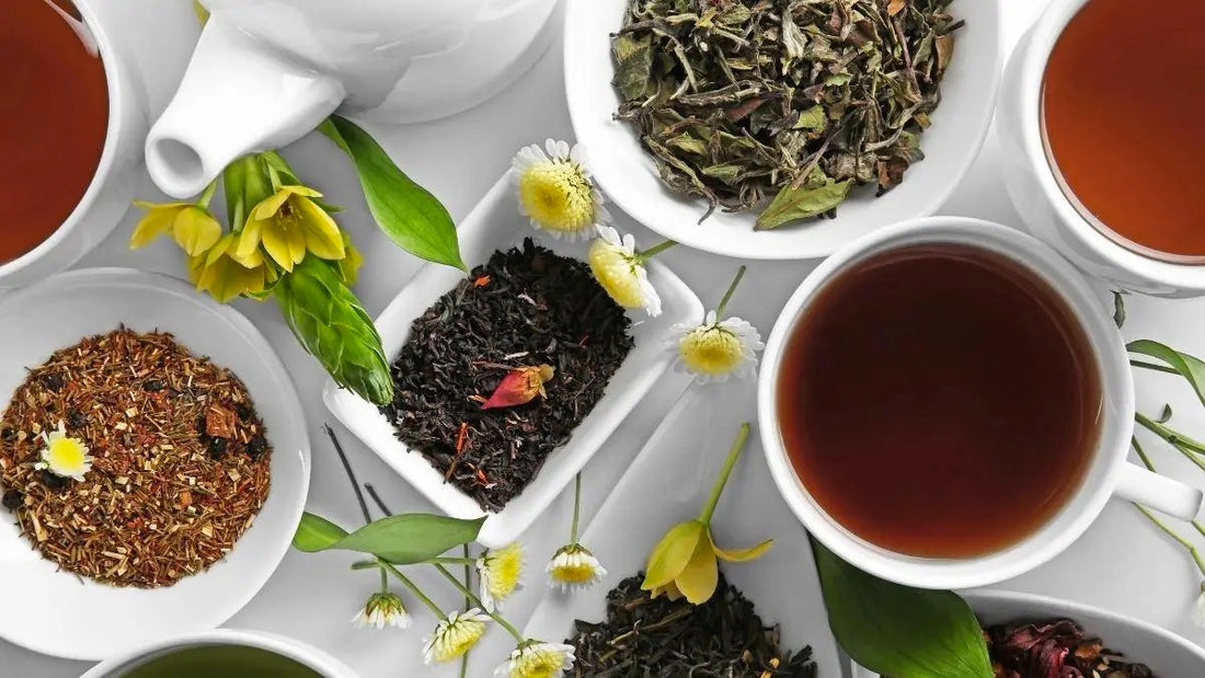 All that You Need to Know About the Different Types of Tea: The Complete Guide