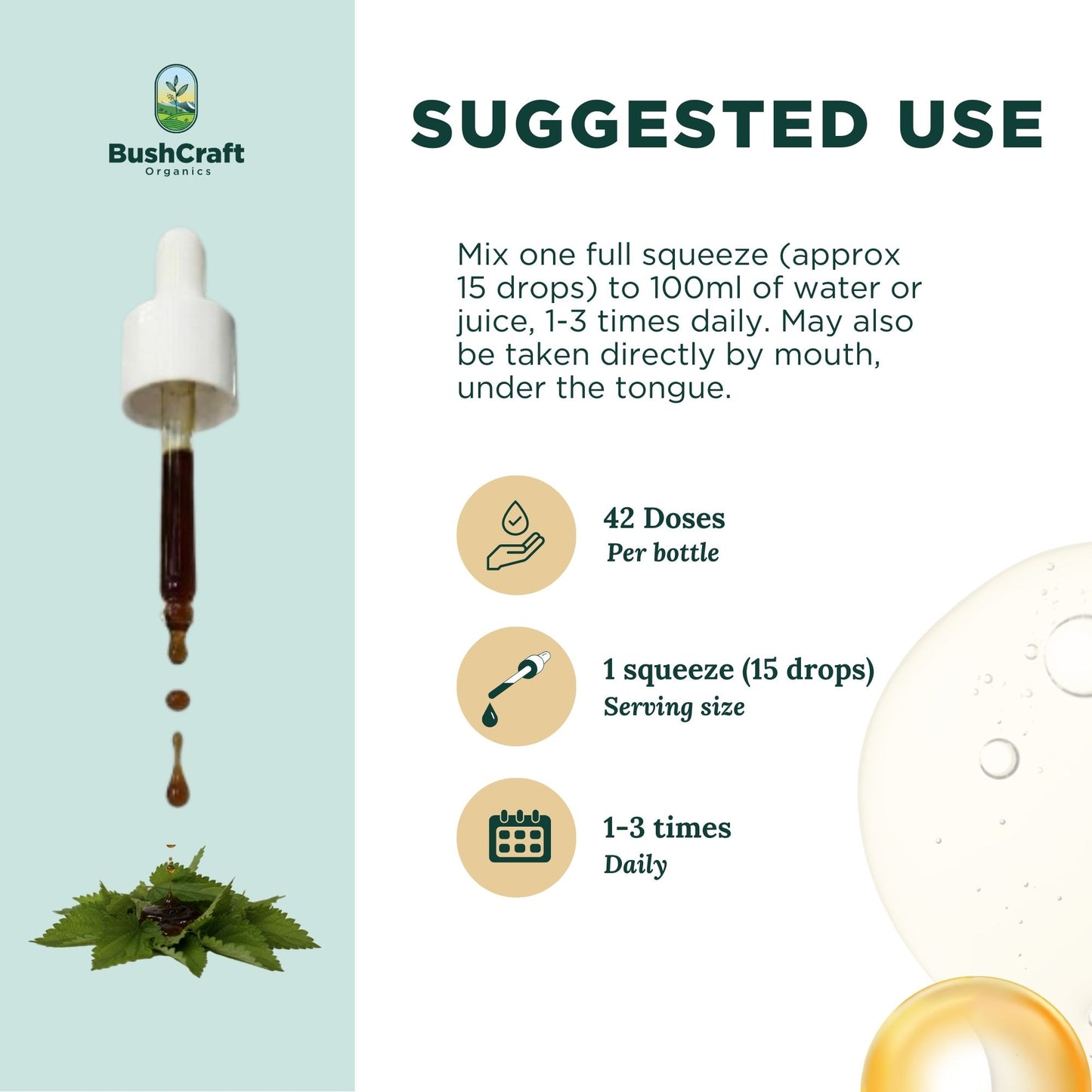 Stinging Nettle Leaf Wellness Herbal Extract (Urtica dioica) I For Oral Use I 30 ml