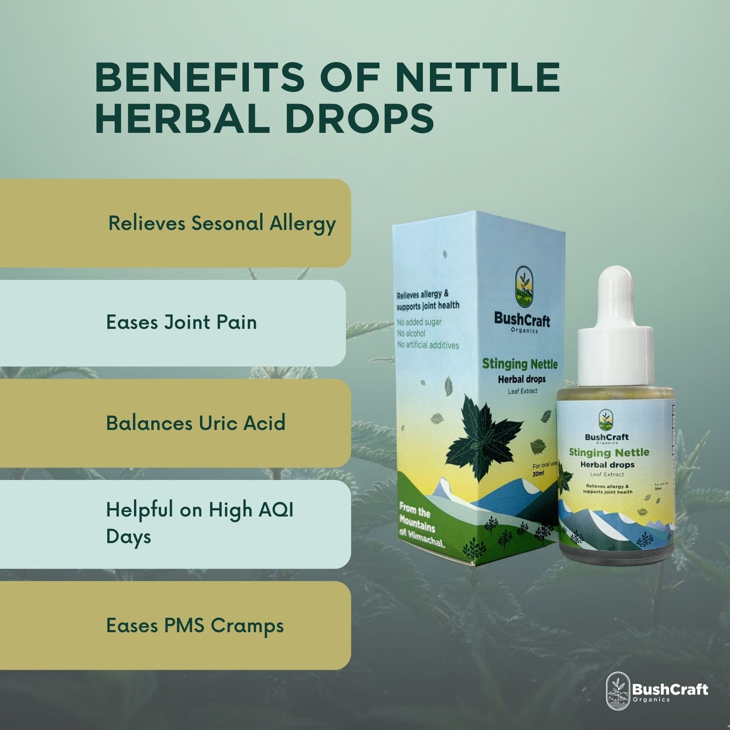 Stinging Nettle Leaf Wellness Herbal Extract (Urtica dioica) I For Oral Use I 30 ml