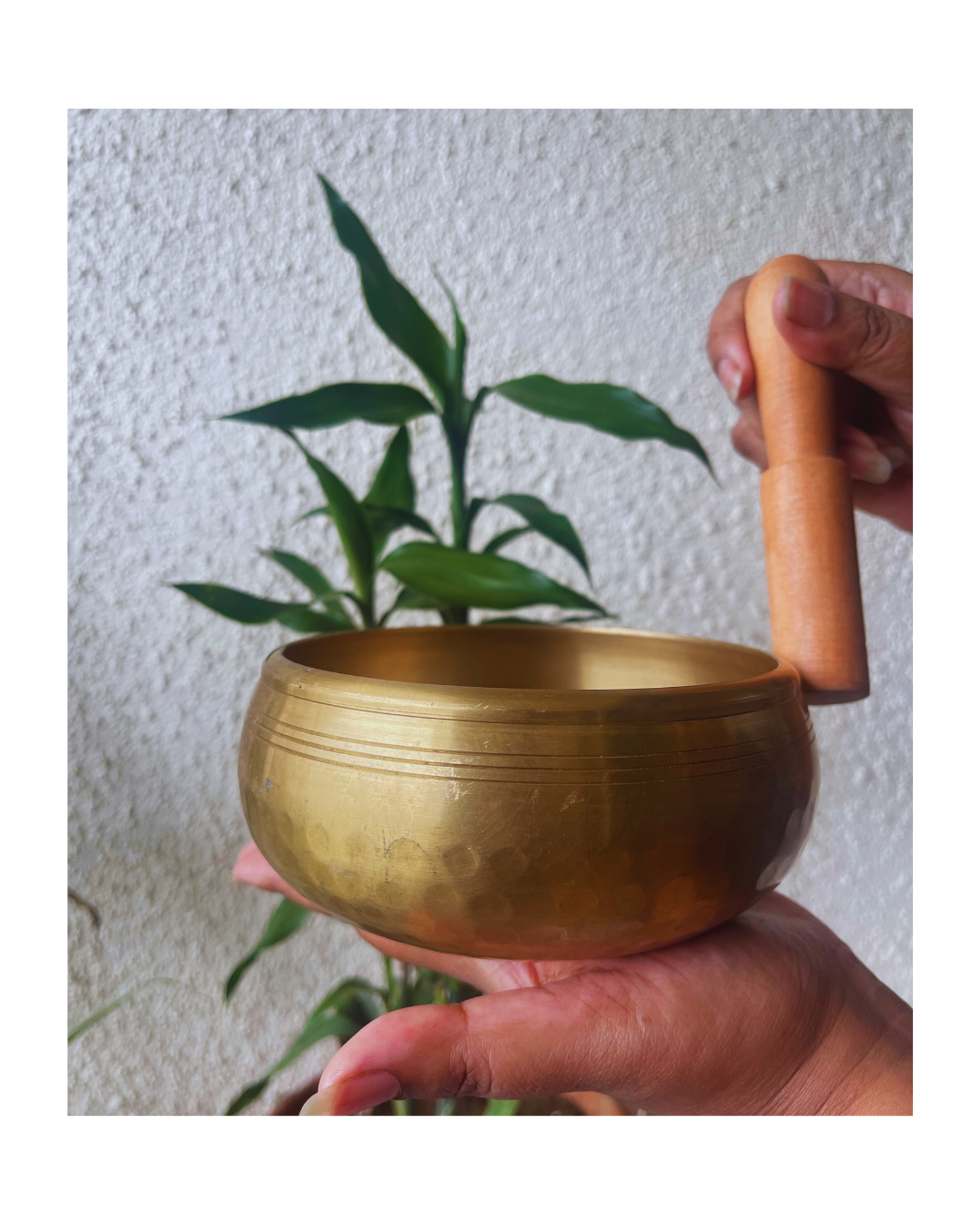 Singing Bowl - 5-metal Panchaloha Hand-hammered Bowl (4.5 inch) with Wooden Mallet