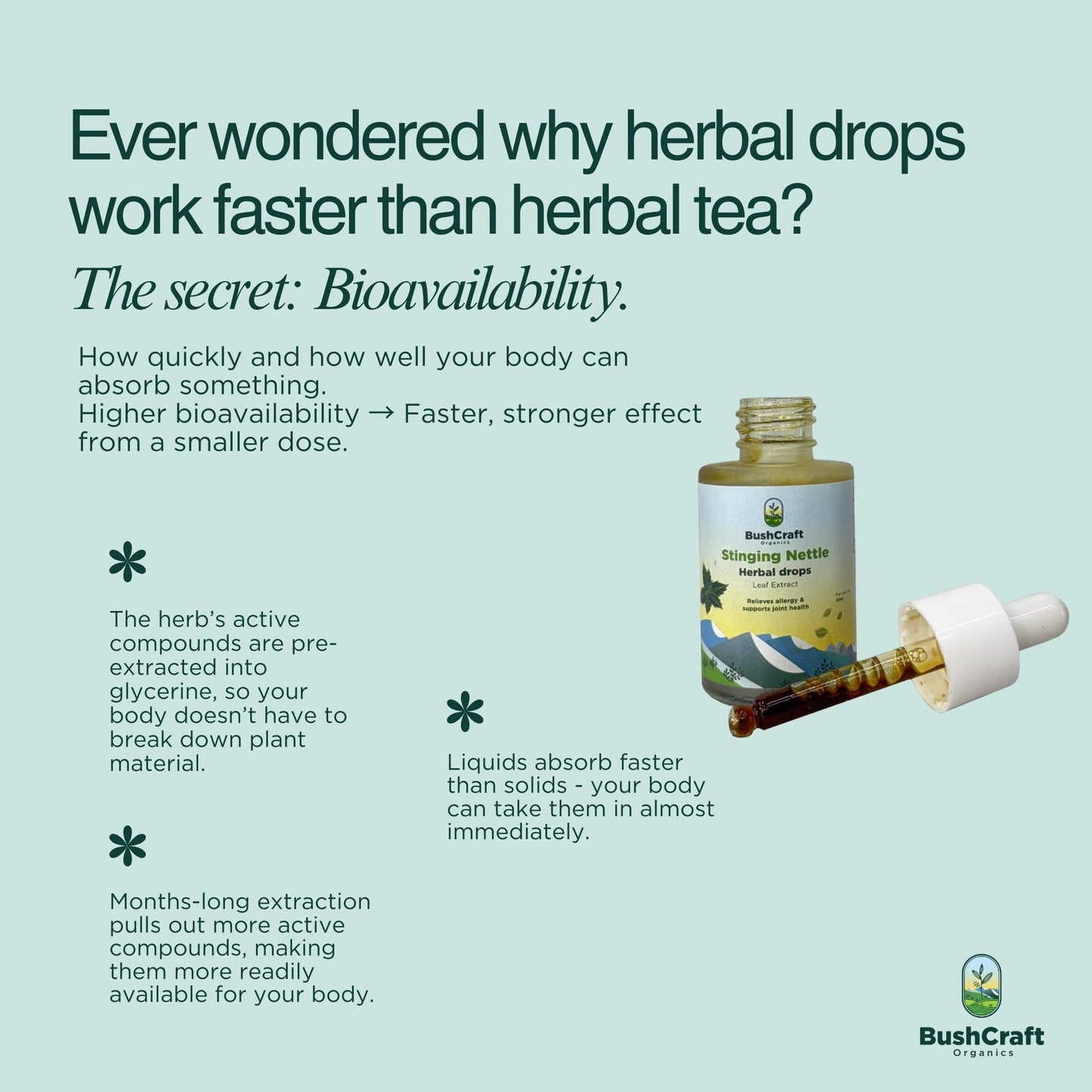 Stinging Nettle Leaf Wellness Herbal Extract (Urtica dioica) I For Oral Use I 30 ml