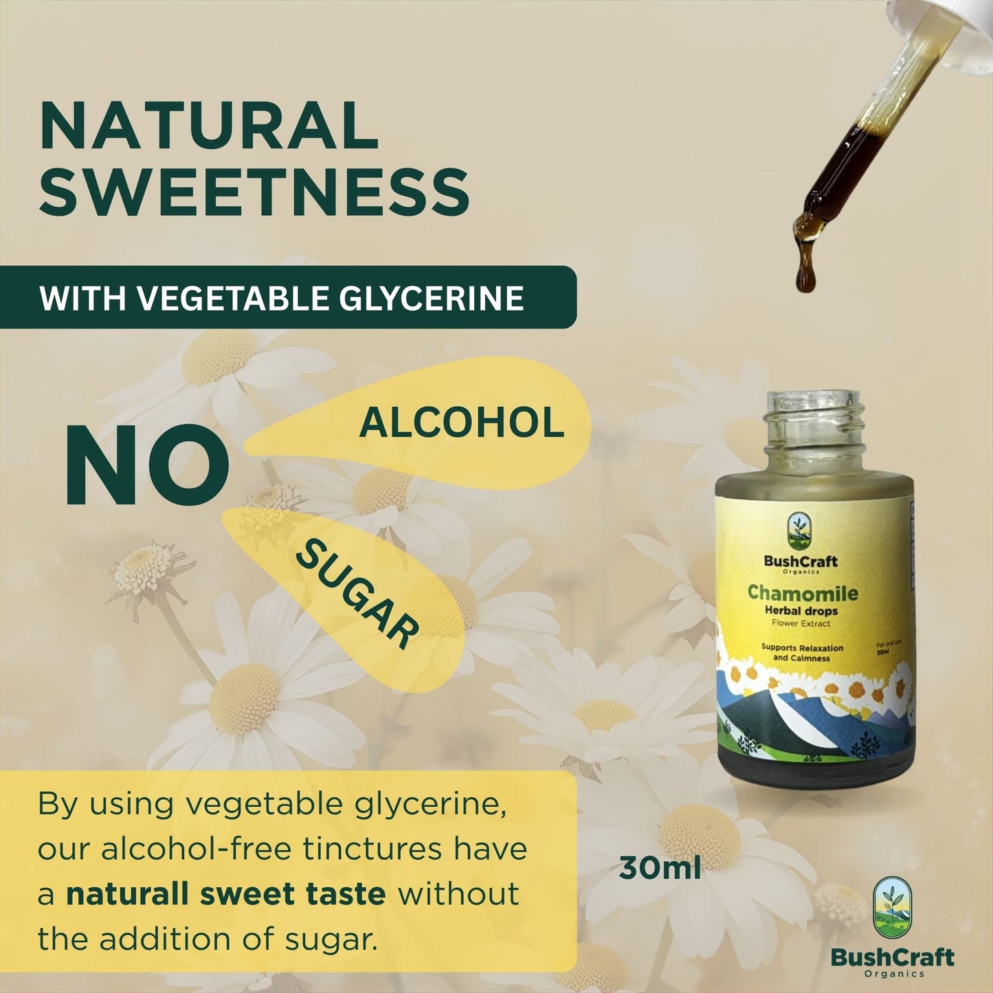 Chamomile Flower Herbal Extract (Matricaria chamomilla) | For Oral Use | 30 ml