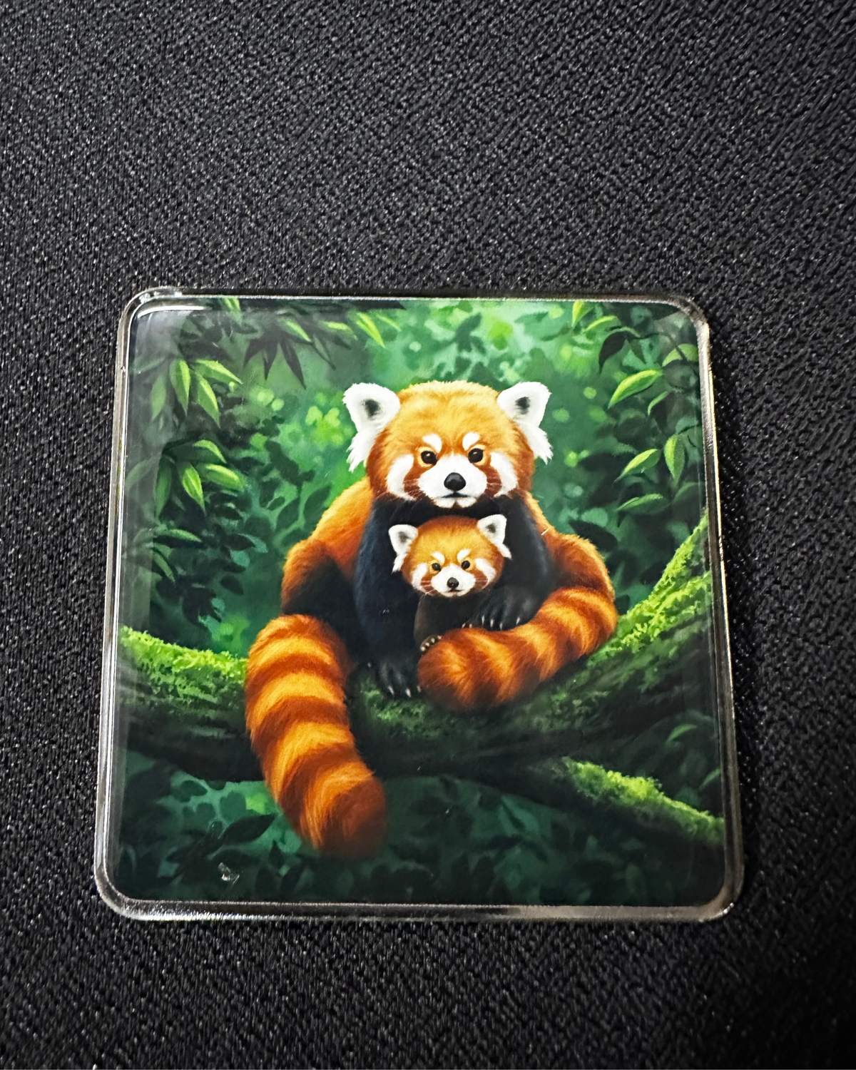 Sturdy Fridge Magnet in Steel - Red Panda