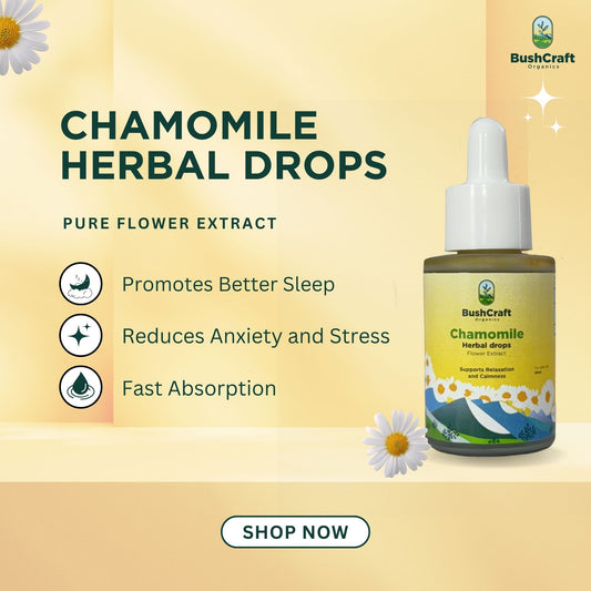 Chamomile Flower Herbal Extract (Matricaria chamomilla) | For Oral Use | 30 ml