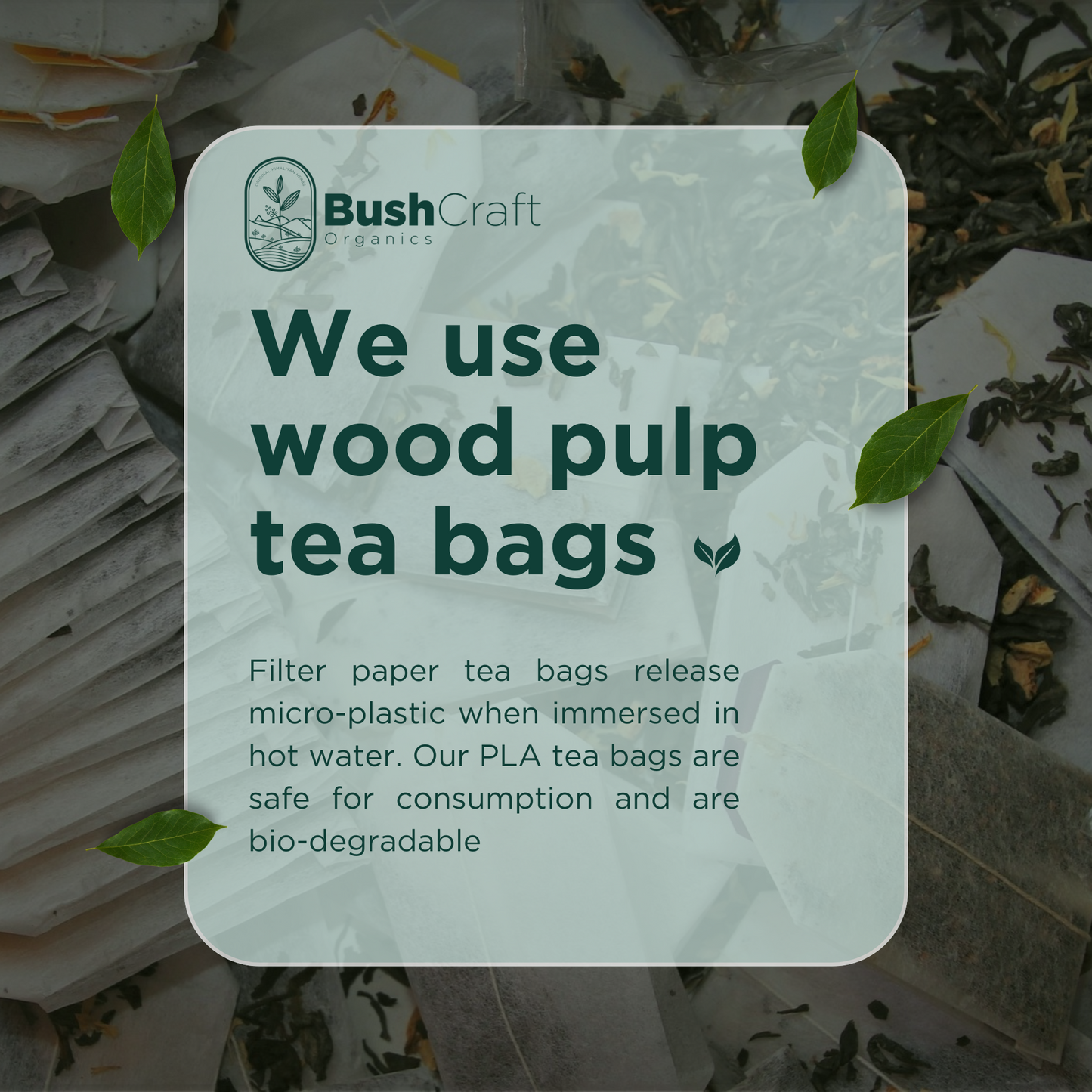 BushCraft Organics Stinging Nettle Herbal Tea