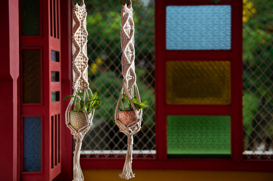 Macrame Disoe Single Plant Hanger