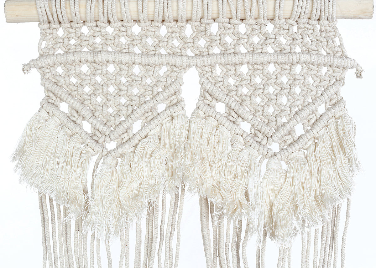 Macrame Wall Hanging Double Plant Holder