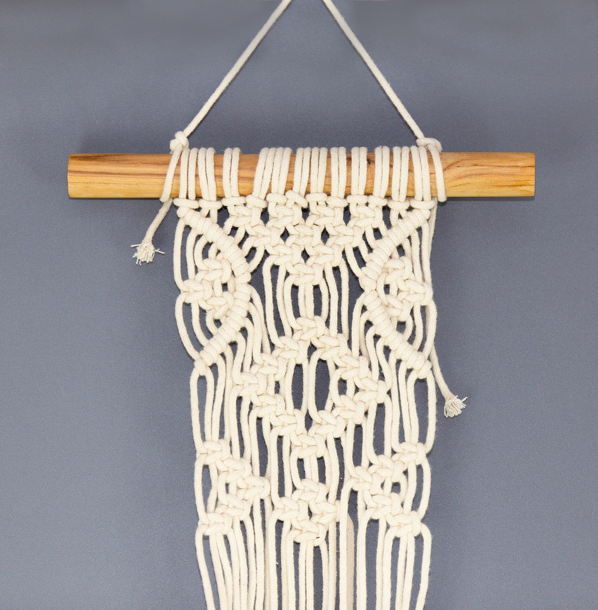 Macrame Mesh Planter