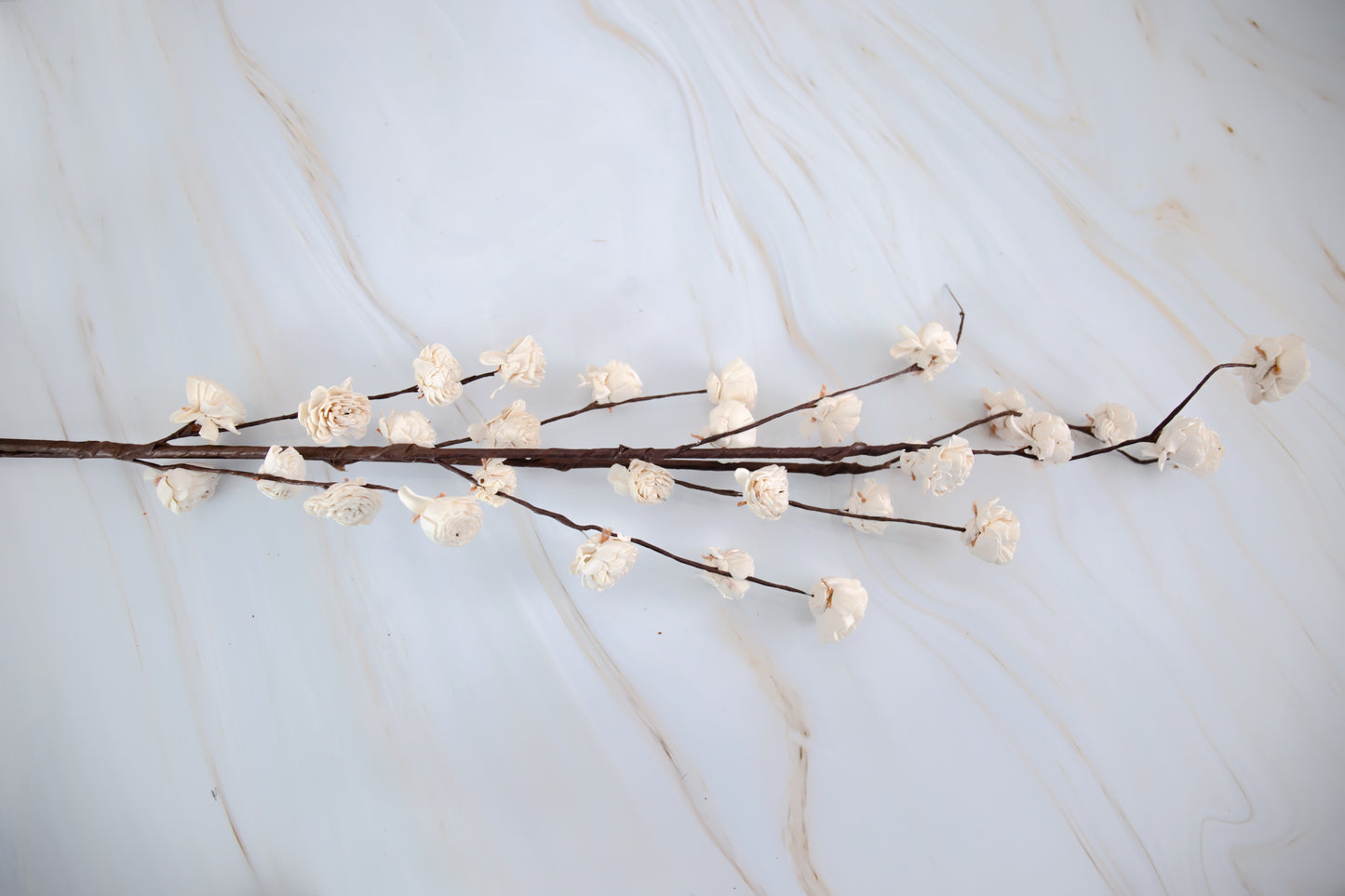 Shola Belly Rose Flower Sticks White - Bunch of 5
