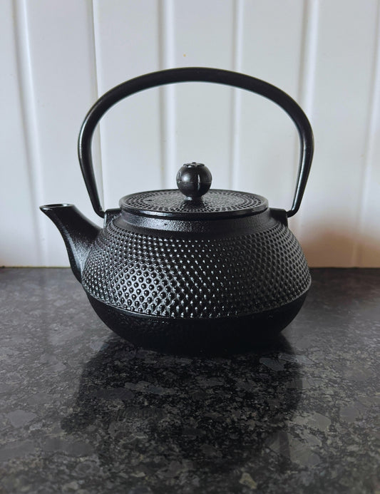 Cast-Iron Hobnail TeaPot - Traditional Japanese Tetsubin (Tetsu-Kyusu) Black Dots TeaPot 580ml