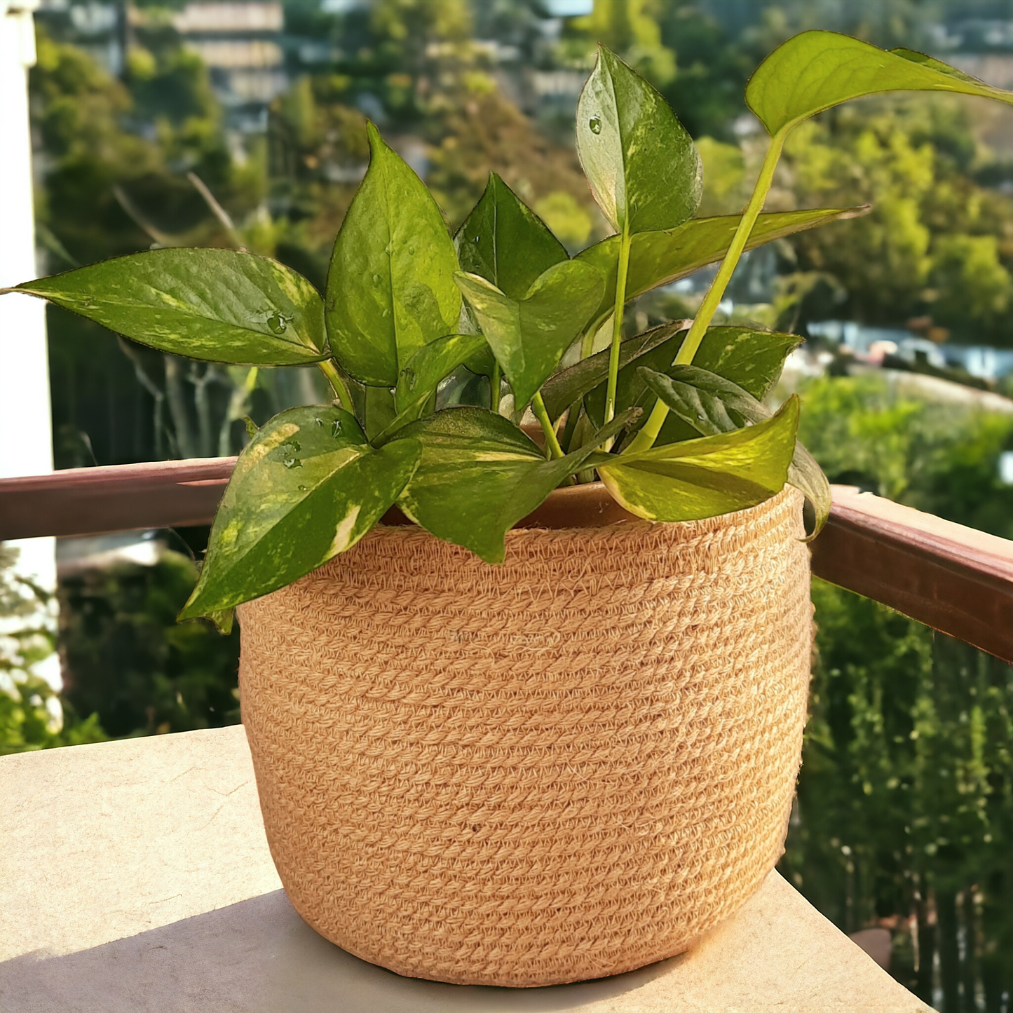 Studio Vilasita - Jute Planter