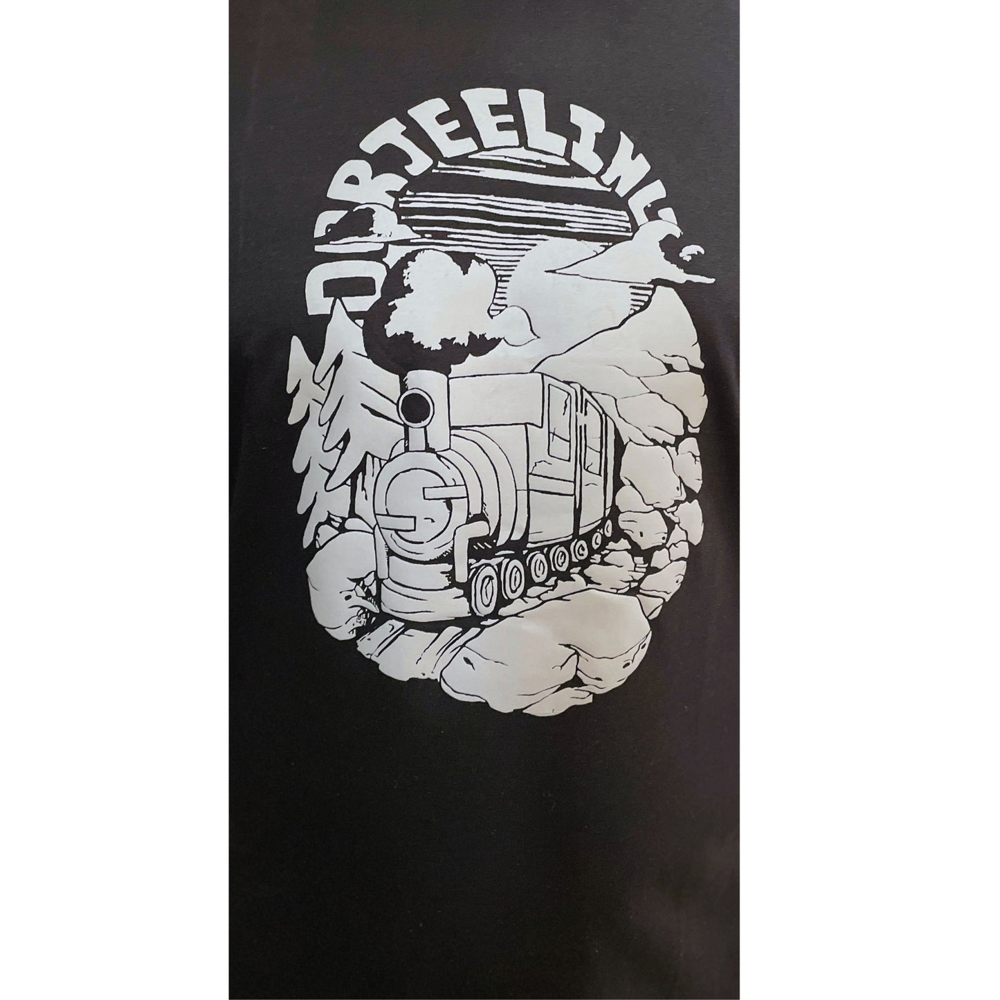 Darjeeling Train - Black - Regular Fit 100% Cotton T-Shirt