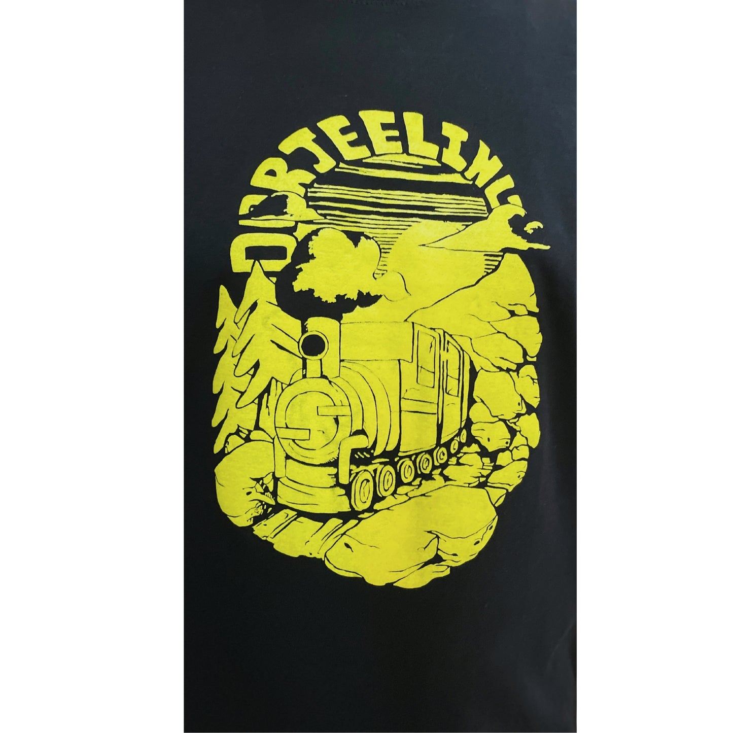 Darjeeling Train - Black - Regular Fit 100% Cotton T-Shirt