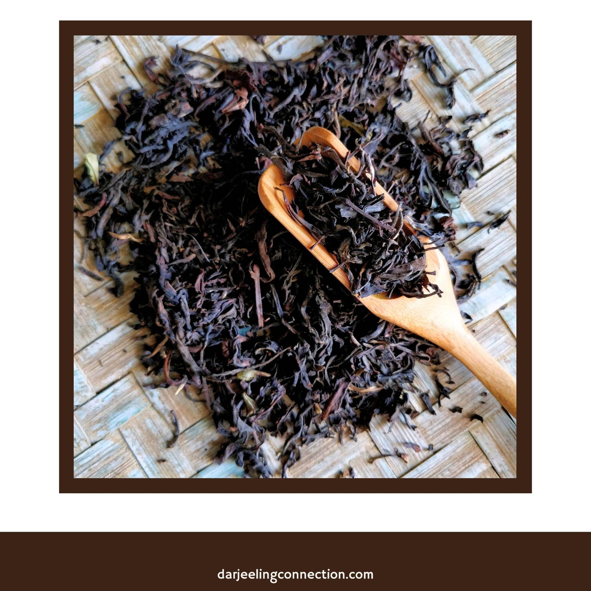 Organic Full-Leaf Darjeeling Black Tea - Darjeeling Connection