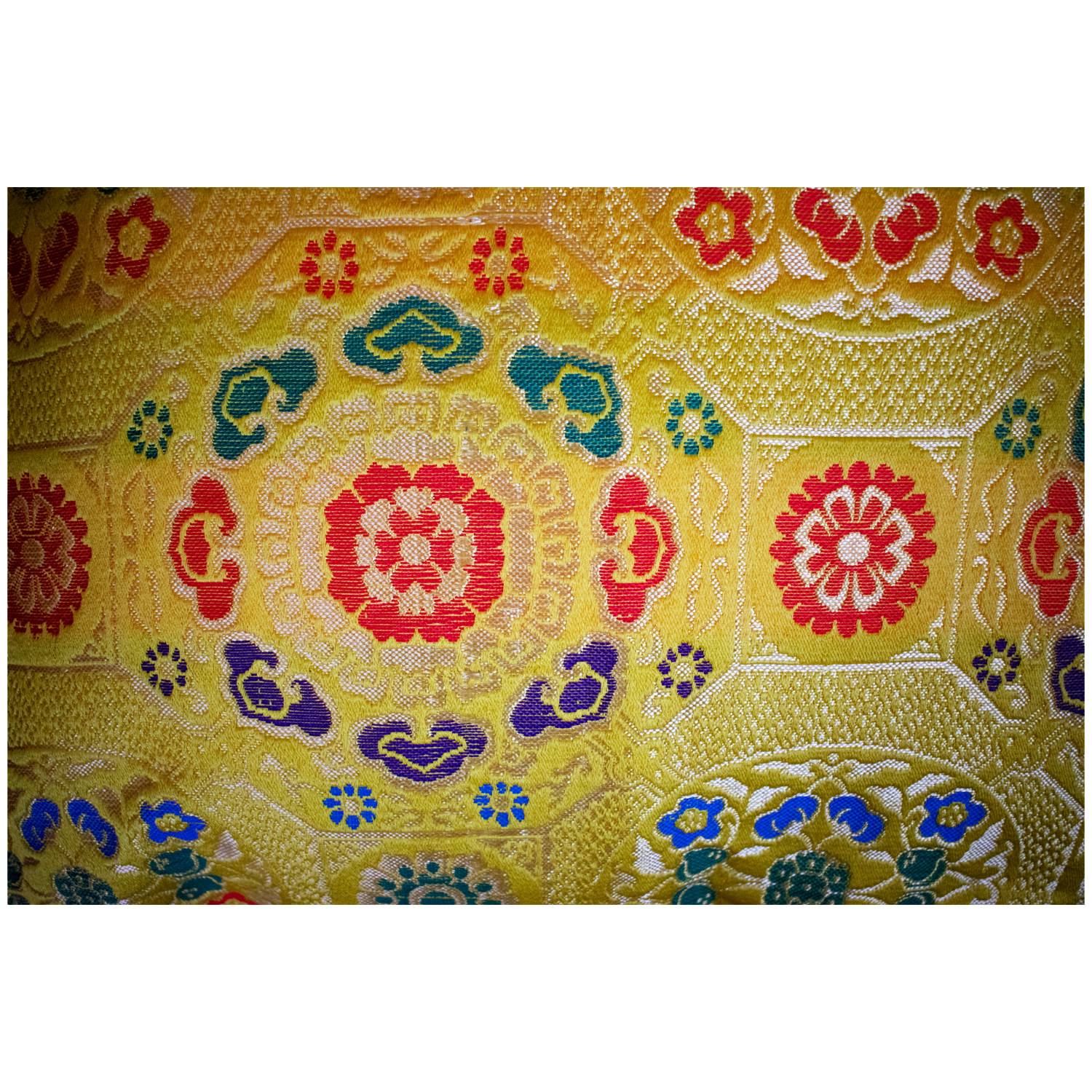 Maia (Yellow) Cushion Cover Set Close Up