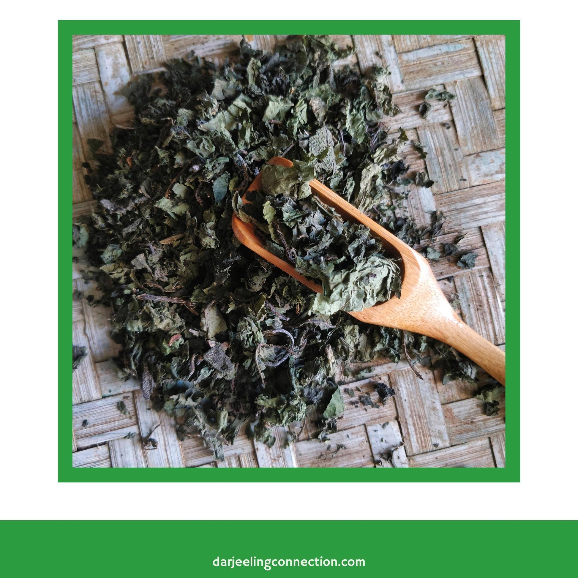 Stinging Nettle Leaves for Herbal Tea - Darjeeling Connection