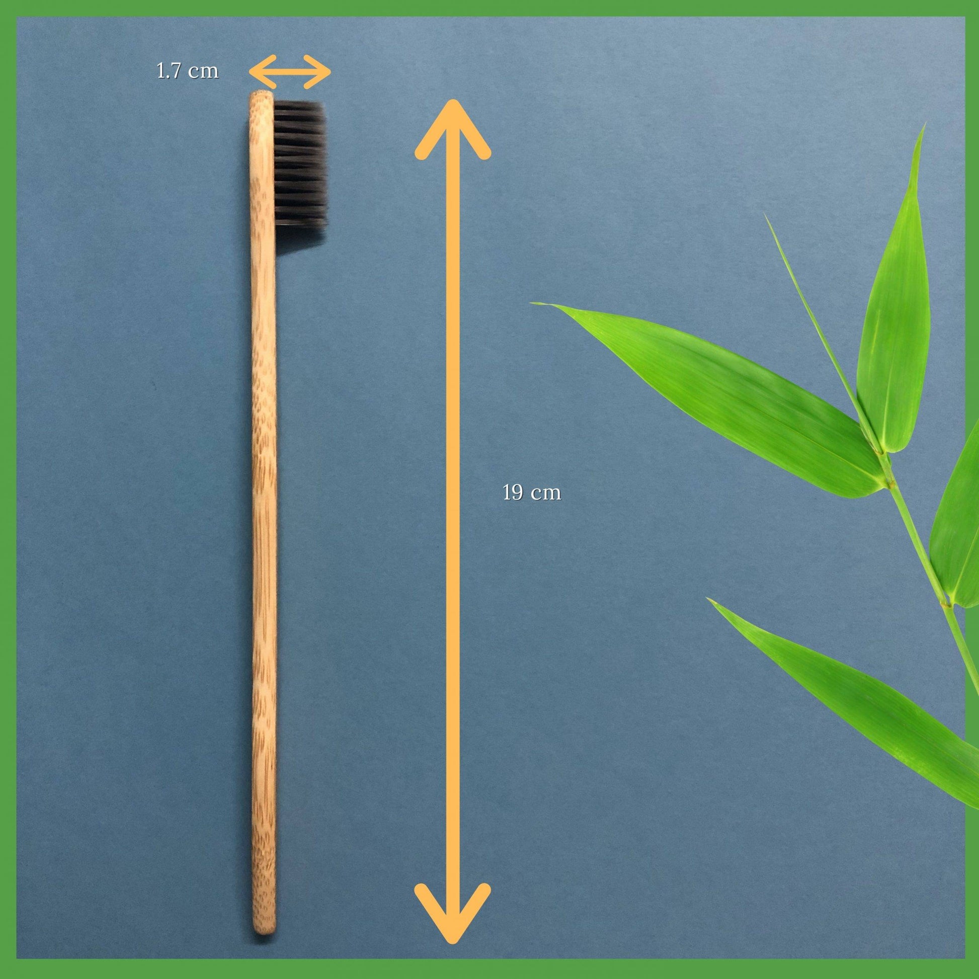 100% Biodegradable Bamboo Toothbrush with Soft Charcoal-activated Bristles - Dimensions