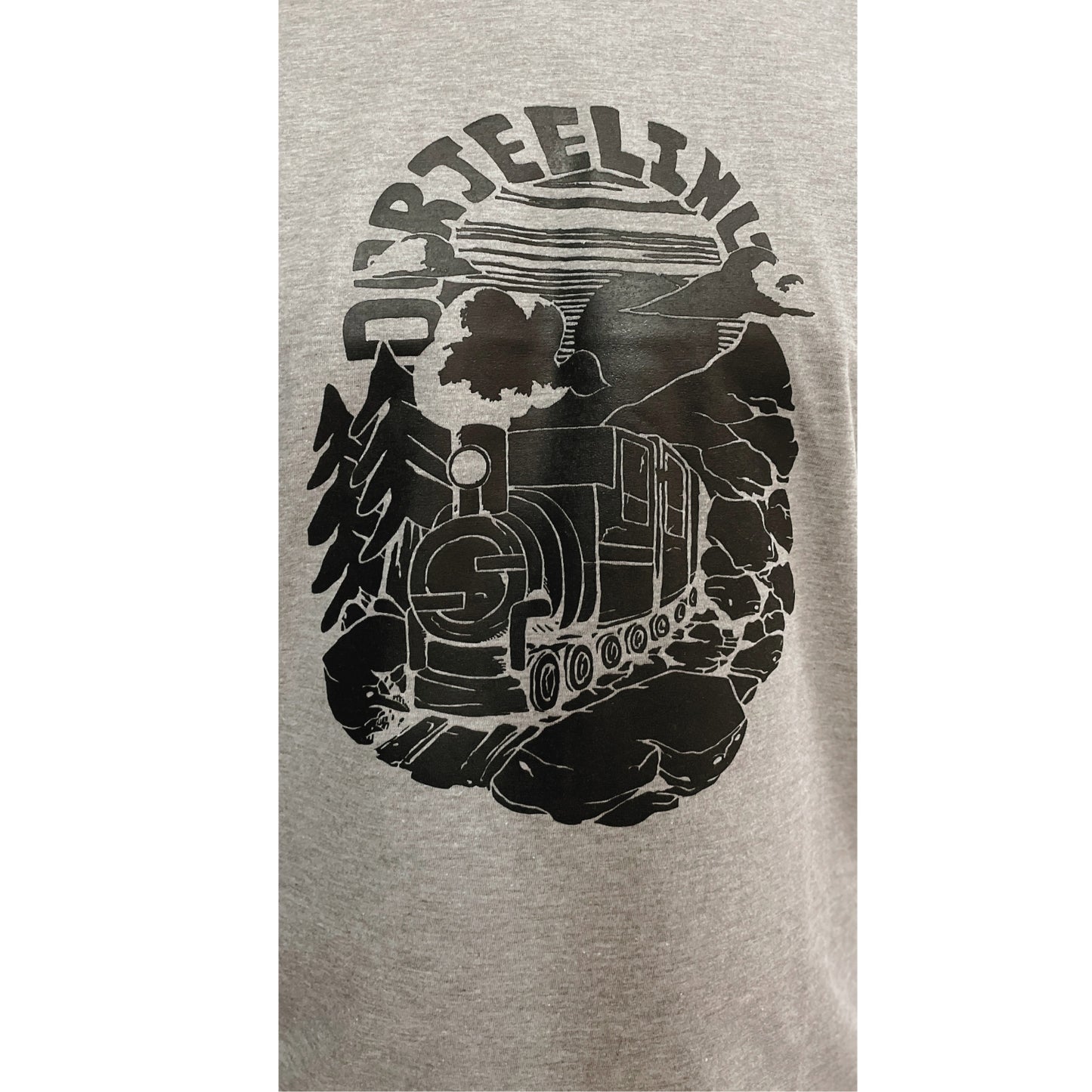 Darjeeling Train - Grey - Regular Fit 100% Cotton T-Shirt