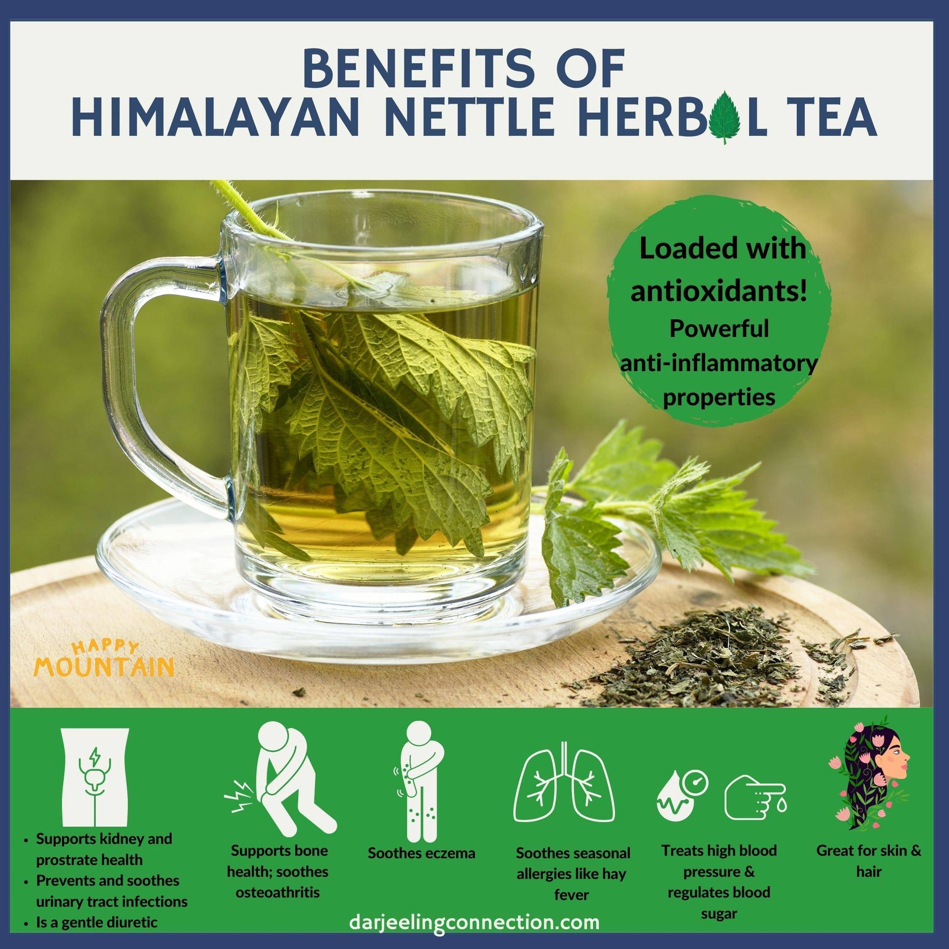 Benefits of Himalayan Nettle Herbal Tea - Darjeeling Connection