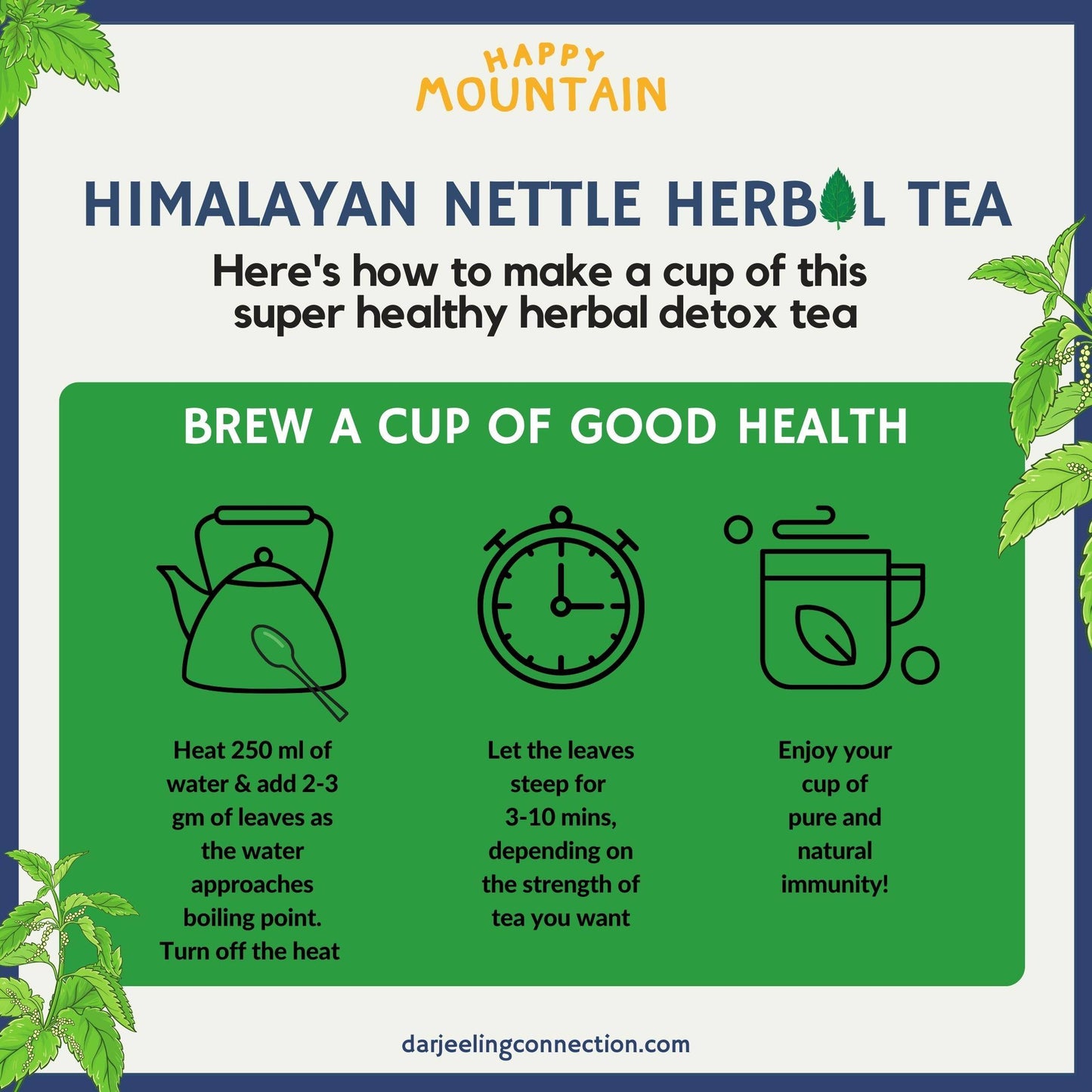 Guide to Brew Stinging Nettle Tea - Darjeeling Connection