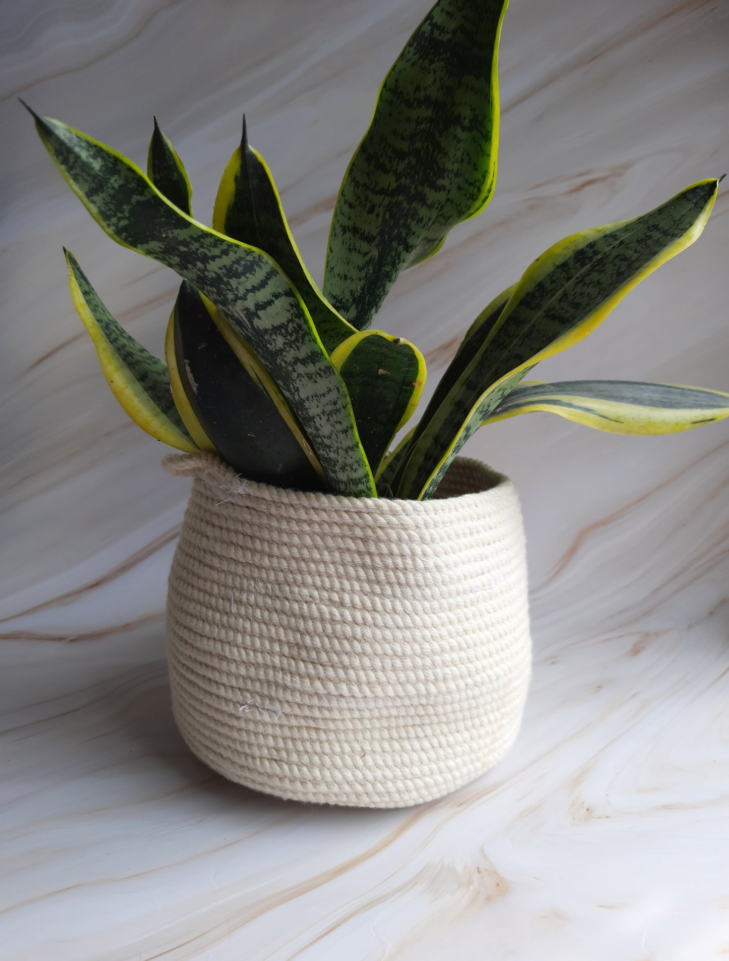 Studio Vilasita - Plant Holder - Medium