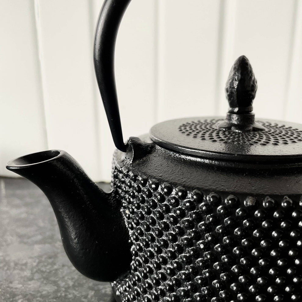 CastIron Hobnail TeaPot Traditional Japanese Tetsubin (TetsuKyusu